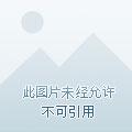 偏爱免费阅读